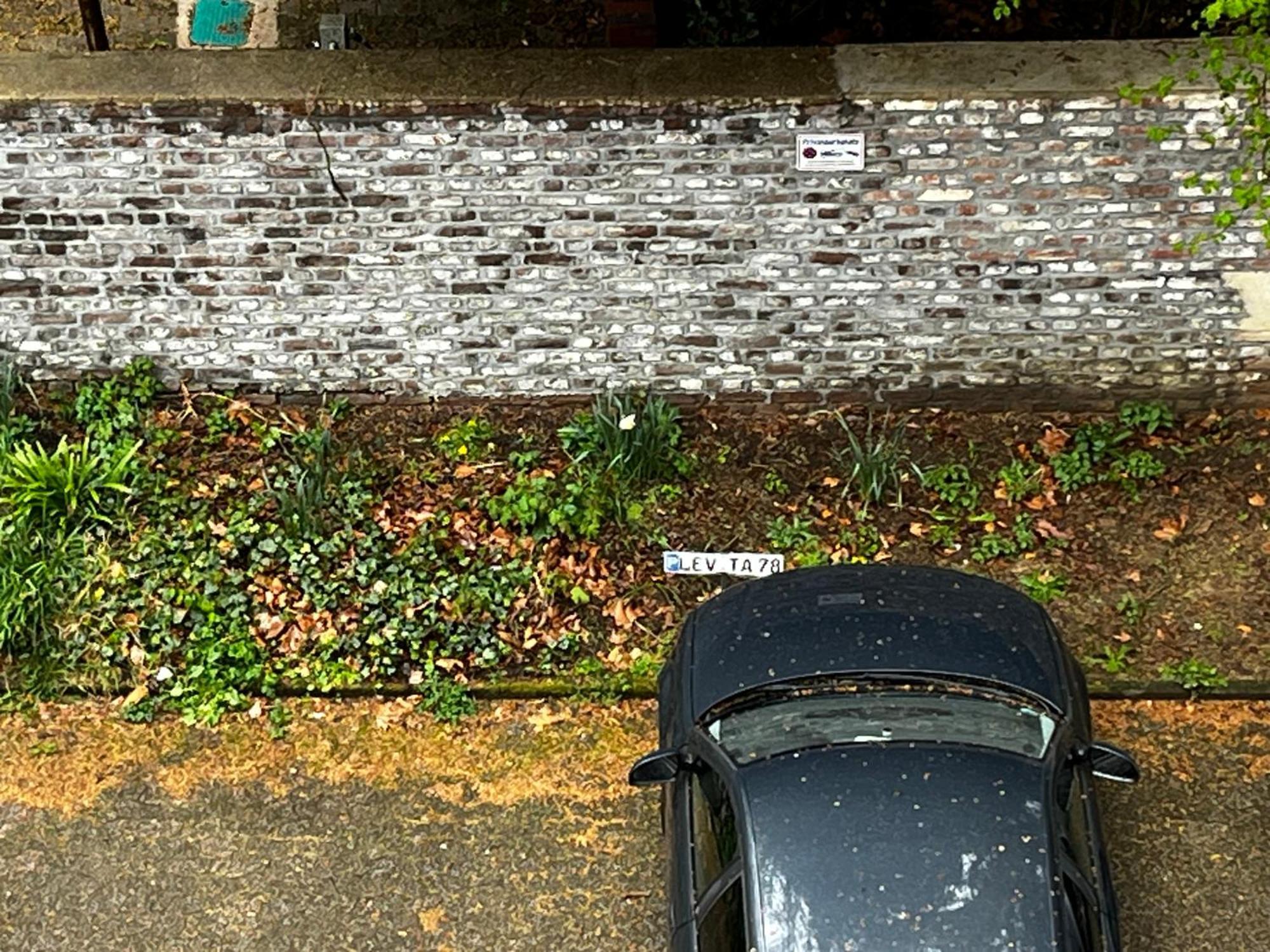 Gemuetliche, Ganze Wohnung In Ruhiger, Zentraler Lage Leverkusen Exterior foto
